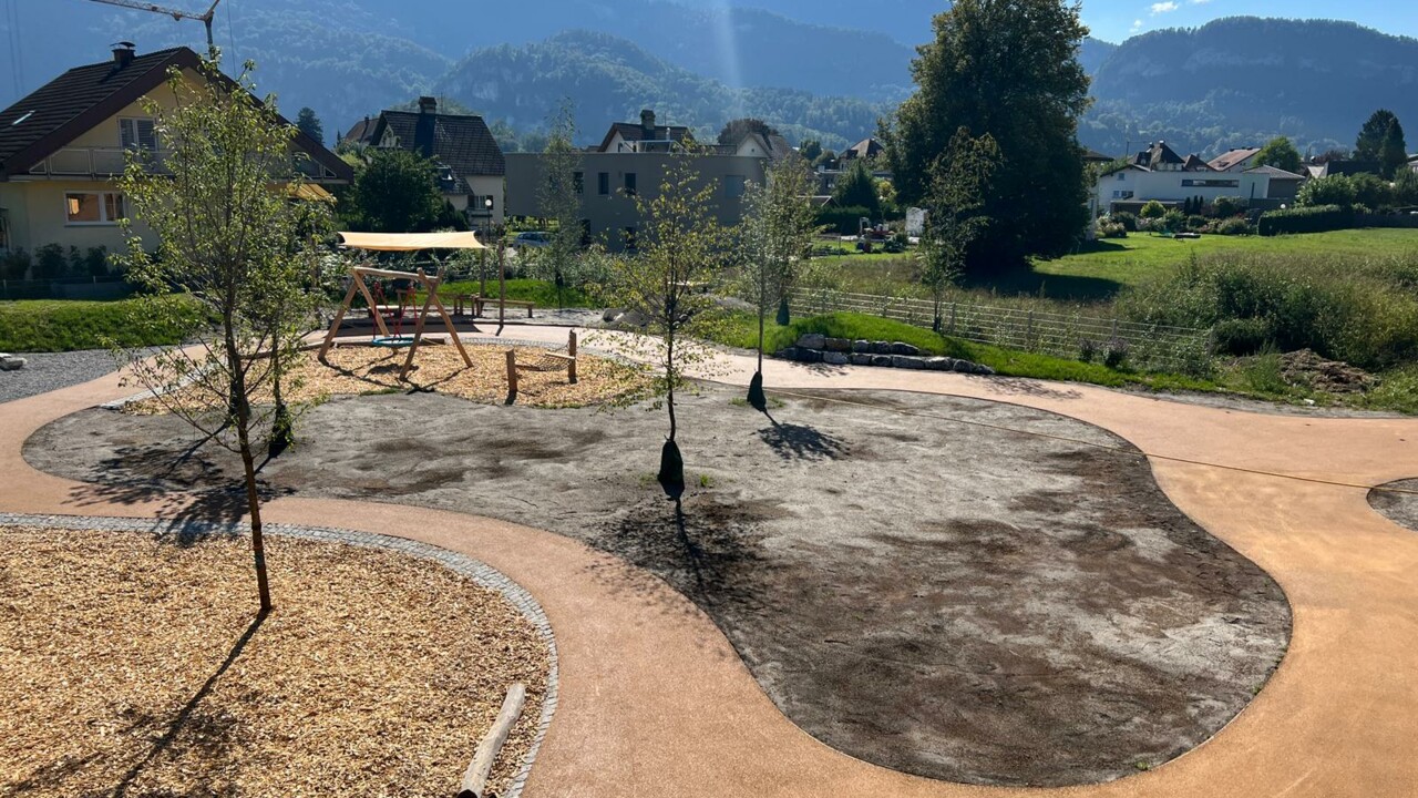 Widenfeldstrasse Altach 1